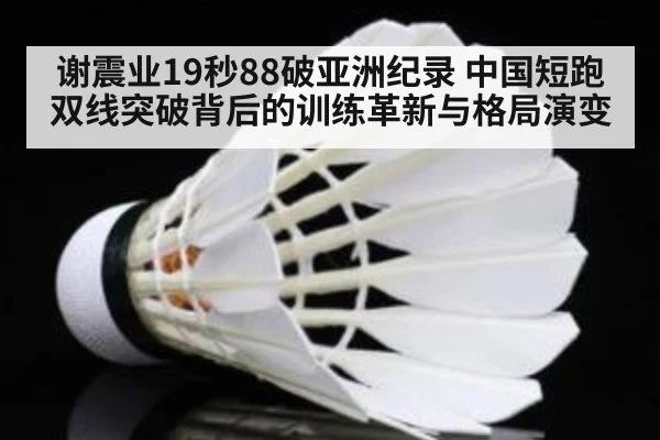 谢震业19秒88破亚洲纪录 中国短跑双线突破背后的训练革新与格局演变